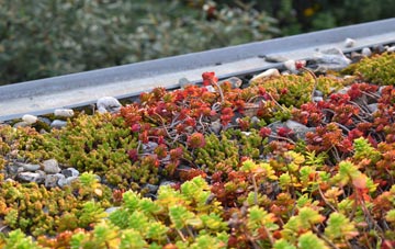 the cost of Montford Bridge green roof installation
