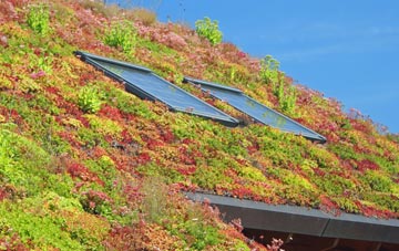 Montford Bridge living roof systems